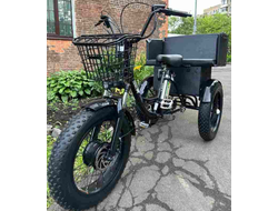 Электровелосипед трехколесный Fat Trike T LUX с задним сиденьем