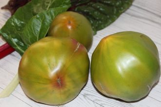 Семиречье триколор