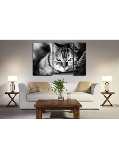 Модульная картина &quot;Кошачье блаженство&quot;