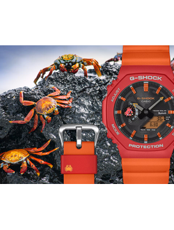 Часы Casio G-Shock GA-B2100DF-4A