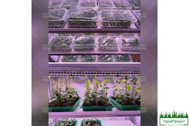 Изготовление и монтаж металлоконструкций "под ключ" Закажи уже сейчас!