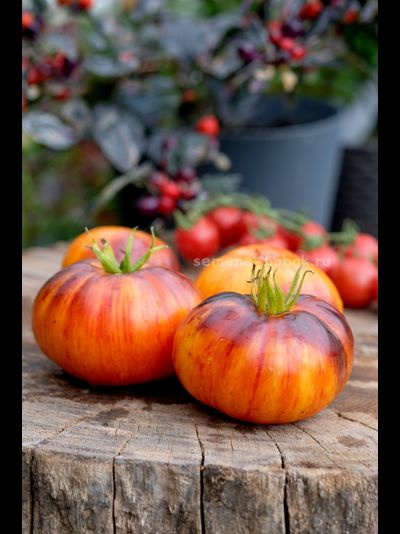 Томат Strangelove (Странная Любовь), 10 шт