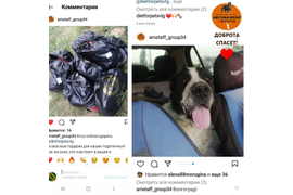 19.08.22 мы передали от нас с вами вкусные гостинцы подопечным приюта Амстафф-GROUP. С 08.06.21 по 10.08.22 сумма по благотворительным купонам составила 5575 руб. Благодарим всех, кто принимает участие в акции!