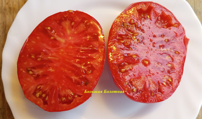 Томат Большая болотная (Grosse des Marais)