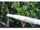 Корректор E.L.F. Zit Zapping Concealer Fair (Светлый)