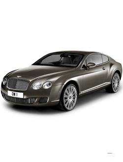 Коврик в багажник Bentley Continental GT 1 2003-2011 г.в.