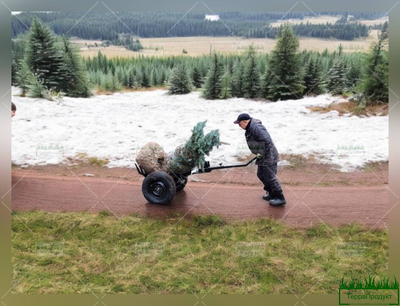 tachki-sadovyye-komovozy-i-oborudovaniye-dlya-ozeleneniya-ot-terraprodukt-dostupnyye-tseny