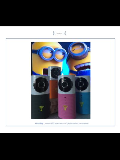Видеоняня /WiFi видеокамера CleverDog Blue с DVR