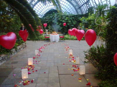 Предложение в Ботаническом саду