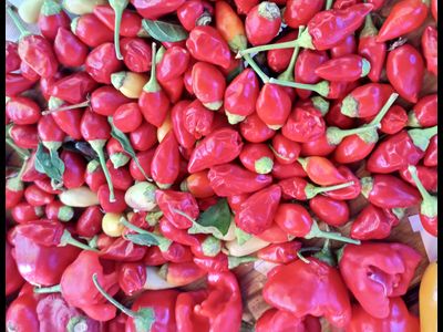 Перец острый Barra do Ribeiro