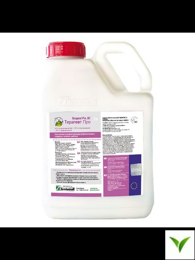 Терапевт Про КС 5 л