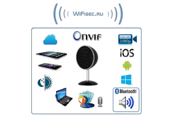 WiFi видеоняня/музыкальная беспроводная колонка, с DVR. Full HD (Pro iCam)