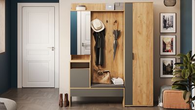 Прихожая Эвита Тип 2 Дуб Крафт золотой/Графит