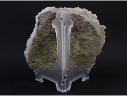 Кварц молочный, крупная эстетичная щетка блестящих кристаллов, Дальнегорск (170*160*25 мм, 969 г) №16178