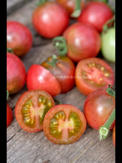 Томат Гном Противоречия (Controversy), 10 шт