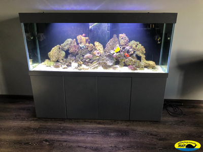 Аквариумный прямоугольный комплекс 980 (Тип тумбы 9)