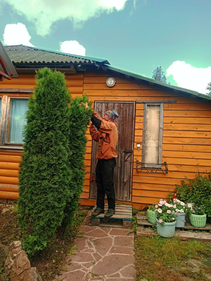 Обрезка декоративных растений.