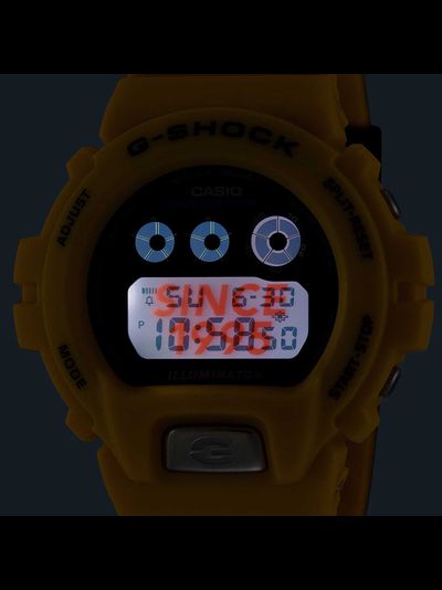 Часы Casio G-Shock DW-6900TR-9
