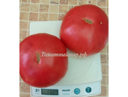 Томат Микадо розовый