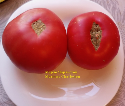Томат Марло Чарльстон (Marlowe Charleston, Мэрлоу Чарльстон), США
