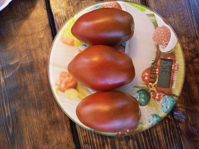Томат Перцевидный шоколадный