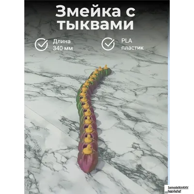 Змейка тыквенная