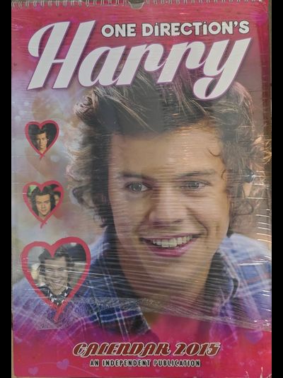 Harry Styles One Direction Календарь 2015
