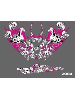 Наклейки на снегоход  Lynx Ranger Expedition Commander 2011-2019 №2984