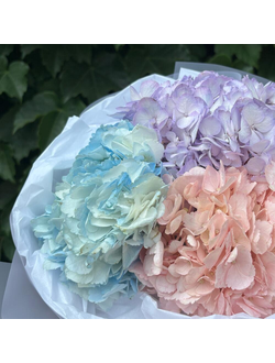 Букет из 3 гортензий