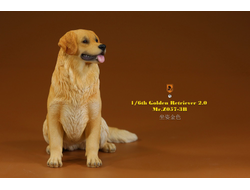 Золотистый ретривер (сидящий) - Коллекционная ФИГУРКА 1/6 scale Animal Model Golden Retriever 2.0 (MRZ057-3B) - Mr.Z