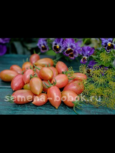 Томат Блаш Розовый (Pink Blush), 10 шт