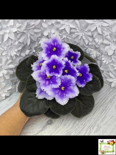 Dn-Огни Бродвея (Д. Денисенко) 2020 г.