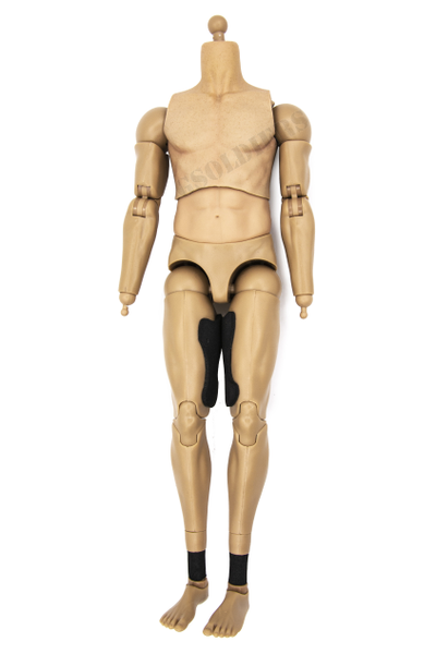 Тело DAMTOYS 1/6 (78063) - DAMTOYS