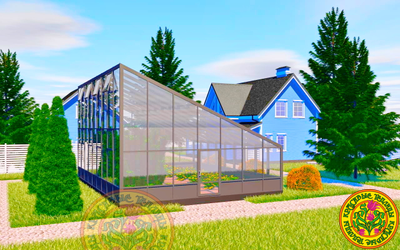 Односкатная зимняя теплица ДЖЕЙМС размером 10000 Х 8000 мм