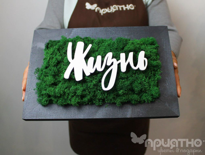 ЖИВАЯ ЭКО-КАРТИНА 1049