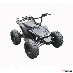 Электроквадроцикл Skyboard CyberTruck Karelia 1800W