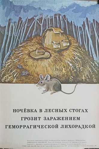"Ночёвка в лесных стогах грозит заражением" плакат Трофимова Л.В., Трофимов С.В. 1981 год
