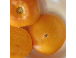 Семена томата Золото Курляндии