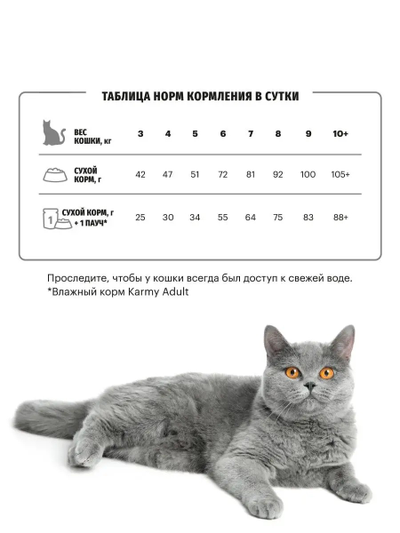Karmy British Shorthair Adult (Британская Шортхэйр Эдалт) для кошек породы британская короткошерстная, Индейка 10 кг