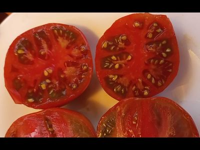 Томат Шоколадный Генри