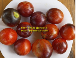 Томат Гном Сталь Дамаска (Dwarf Damascus Steel)
