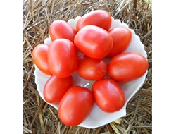 Томат Мархотская кисть (Мархотское гроно)