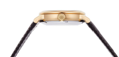 Мужские часы Orient RE-AU0001S