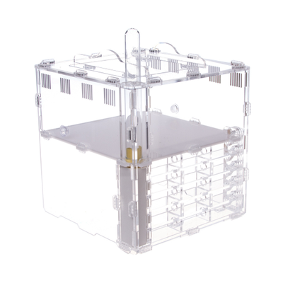 Формикарий 4ants Crystal L pro + колония Messor Structor