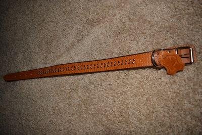 Ошейник Кожа подвернутый фурнитура 3,0см*55см