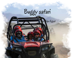 Buggy safari - 4 seats buggy (sunrise, morning or afternoon)