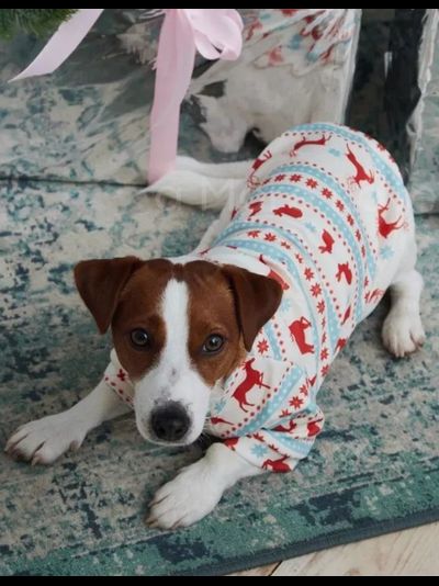 Кофта Picturest Белая с оленями