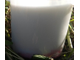 Домашняя сметана из козьего молока купить от фермера