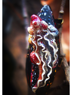 "Саламандра, дитя пламени", миниатюрная фэнтези-брошь (4,5 см)