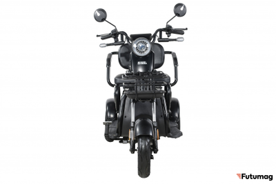 Пассажирский трицикл WHITE SIBERIA SIBTRIKE 2000W